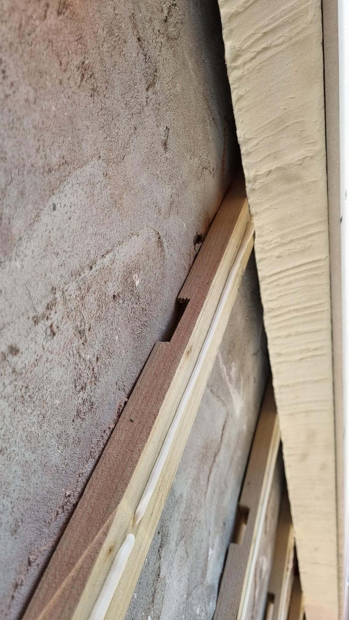 Ventilatielatten vuren geïmpregneerd 21.5 x 48 x 3000 mm