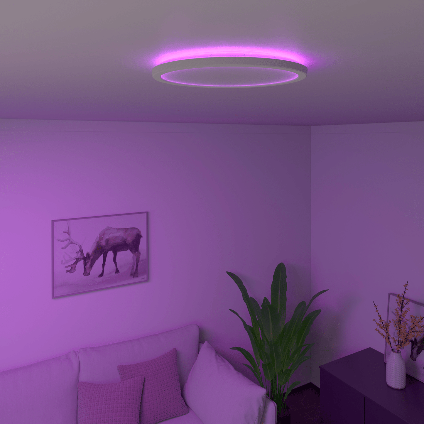 Calex Slimme Halo LED PlafondLamp Wit - Ø30cm
