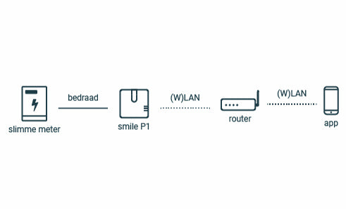 Energieverbruiksmanager Plugwise Smile P1 (V3)