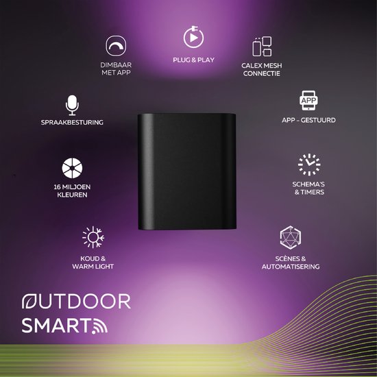 Calex Smart Outdoor LED Up & Down Wandlamp zwart- Ovaal