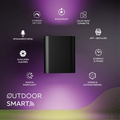 Calex Smart Outdoor LED Up & Down Wandlamp zwart- Ovaal