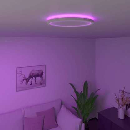 Calex Slimme Halo LED PlafondLamp Wit - Ø30cm