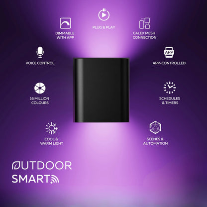 Calex slimme wandlamp ovaal