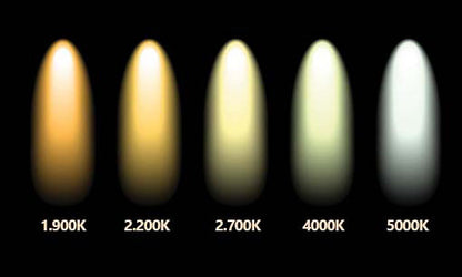 Goud serie Calex LED Kogellamp